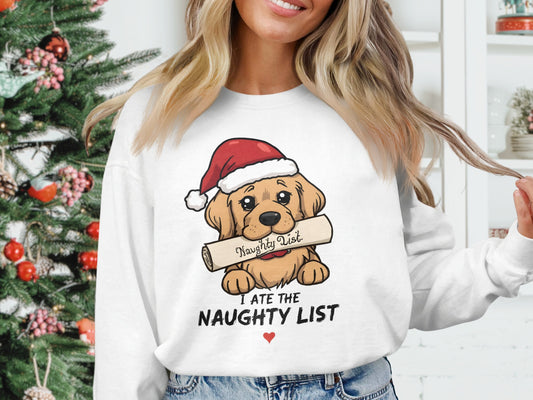 Christmas Naughty List Dog Sweatshirt Apparel