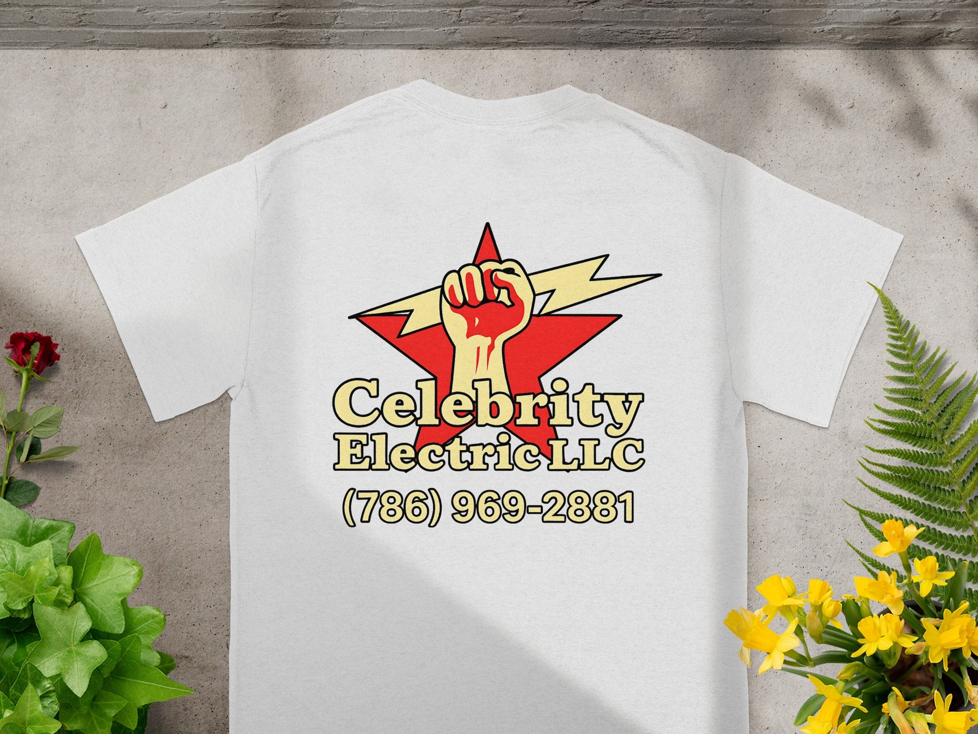 Celebrity Electric LLC (786) 969-2881 product type